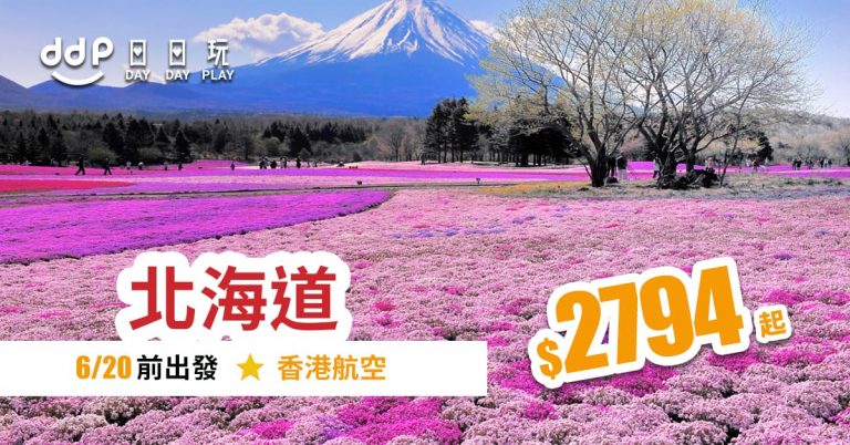 北海道平機票-190314