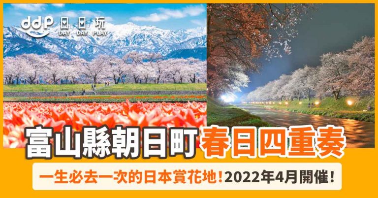 Asahi-Funakawa-“Spring-Quartet-7