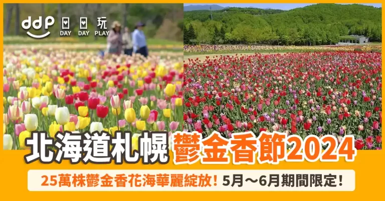 【遊日情報】北海道「國營瀧野鈴蘭丘陵公園」絕美鬱金香節2024！25萬株鬱金香花海華麗綻放！