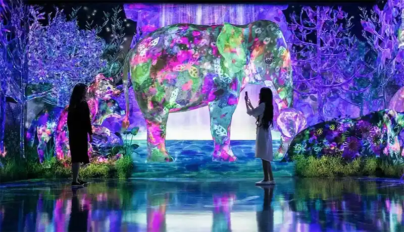 teamLab Planets TOKYO-2024-4