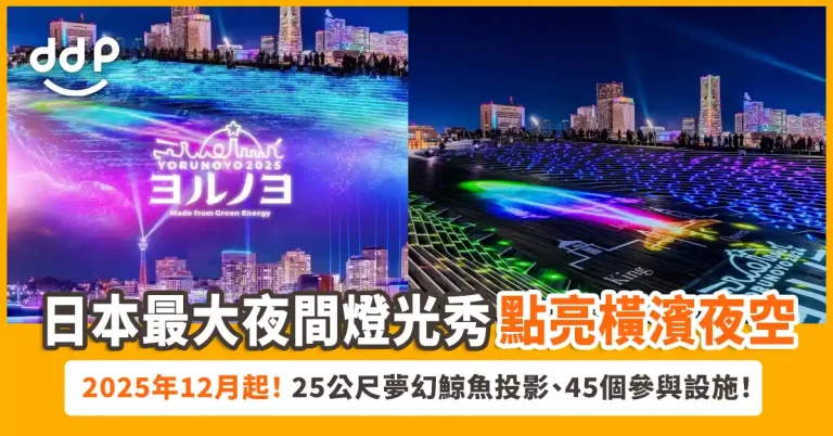 夜之橫濱聖誕燈飾2025