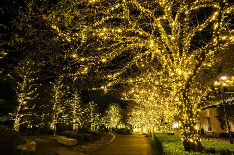 MIDTOWN CHRISTMAS 2025-3