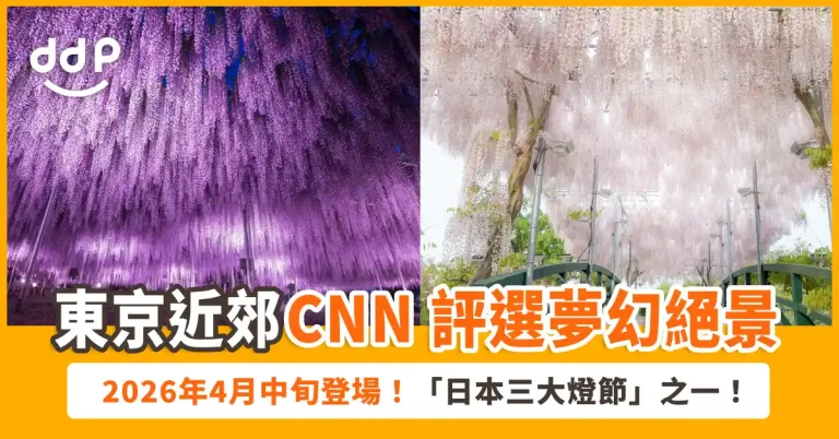 足利花卉公園「紫藤物語〜大藤節～」